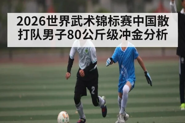 2026世界武术锦标赛中国散打队男子80公斤级冲金分析